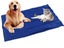 PTN NEW Large Pet Cooling Mat Sale - Sale Sale Carousel 8