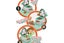 Funny Family Poop Shoot The Toilet Toy Poop Shoot Game Toy for Kid Carousel 6
