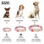 Personalized Dog Collar Nylon Floral Print with Engraved Name & Number Carousel 2