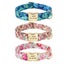 Personalized Dog Collar Nylon Floral Print with Engraved Name & Number Carousel 7