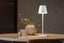 2Pcs Rechargeable Table Lamp 3 Color Cordless LED Table Lamp Touch Desk Lamp-Whi Carousel 4