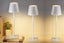 2Pcs Rechargeable Table Lamp 3 Color Cordless LED Table Lamp Touch Desk Lamp-Whi Carousel 8