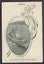 Australia 1927 Canberra 2/- (16 x 1½d) Stamp Booklet Complete Carousel 2