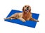 PTN NEW Large Pet Cooling Mat Sale - Sale Sale Carousel 8