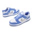 Nike Wmns Dunk Low Next Nature Royal Pulse Women Casual Shoes DD1873-402 Carousel 6