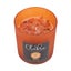 Something Different Orange Sacral Chakra Scented Carousel 1