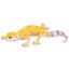 Loading Image 1 of 5