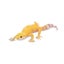 Toymany Leopard Gecko Carousel 4