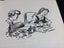 The Secret Seven – Enid Blyton – Hardback Book - Published 1961 Carousel 10