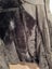 Lativ waterproof jacket Carousel 4