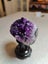 Uruguay emperor amethyst Carousel 2