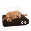 Dog Bed New Carousel 7