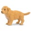 Loading Image 1 of 5