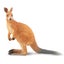 Loading Image 1 of 6