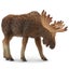 Loading Image 1 of 6