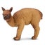 Loading Image 1 of 6