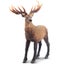Loading Image 1 of 5