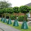 75L Tree Watering Bag - Slow Drip Irrigation for Trees New Carousel 7
