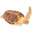 Loading Image 1 of 5