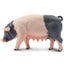 Loading Image 1 of 5