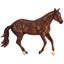 Loading Image 1 of 5