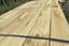 PINE, FENCE PALINGS, 150 x 25mm, ROUGH SAWN, H3.2 TREATED - 294m - TBT1970 Carousel 8