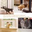 Pet Door With Lock For Cat Puppy Dog Door With Lock Carousel 7