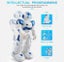 Remote Control Robot JJRC Carousel 3