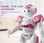 Remote Control Robot JJRC Carousel 7