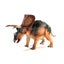 Loading Image 1 of 8