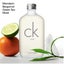300ml Calvin Klein CK One Eau De Toilette 300ml Carousel 3