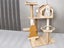 Cat Tree Carousel 3