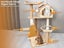 Cat Tree Carousel 5