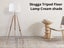 Floor Lamp Carousel 5