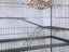 Pet cage Carousel 4