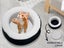 Pet Bed Carousel 2