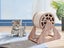 Cat Scratching Wheel Carousel 3