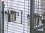 parrot cage Carousel 4