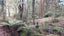 gallery view thumbnail
