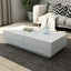 Coffee Table Storage Carousel 3