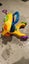 Loading Image 2 of 4
