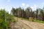 gallery view thumbnail