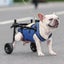 Dog Wheelchair New Carousel 5