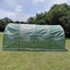 4.5mx3mx2m Tunnel Greenhouses Galvanised Frame Carousel 6