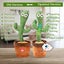Mimicking Dancing Cactus Talking & Singing Light-Up Plush Toy for Babies Carousel 9