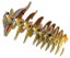 Eugy: Tasmanian Tiger - 3D Paper Model Carousel 5