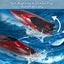 RC Boat for Kids 2 Pack Remote Control Boats Night Glowing Toy Waterproof with R Carousel 11
