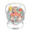 Bright Starts: Cradling Bouncer - Whimsical Wild Carousel 4