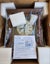 Brand New Adina Mantle Clock O4J-1229. H6311 Carousel 10