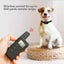 New Dog Training Collar on Afterpay Carousel 5